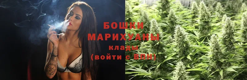 Конопля OG Kush  Родники 